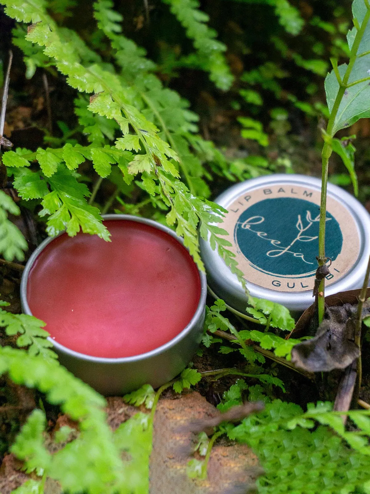 Gulabi Lipbalm